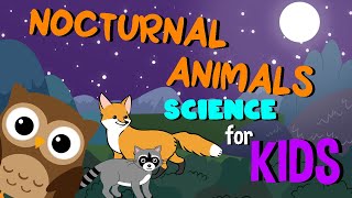 Nocturnal Animal Facts for Kids Listening and Reading Comprehension 🦉🦝🦇 [upl. by Ahsieyn588]