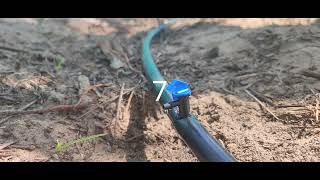 Drip irrigation method for coconut tree anbuexperience [upl. by Ellie]