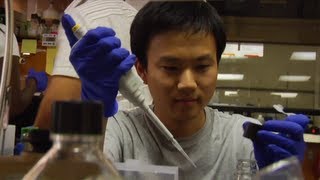 Undergraduate Research at Carnegie Mellon [upl. by Rafaelof128]