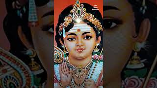 Om Shree Kelakkiyar Siddhar Namonamaha shorts555thankyouuniverseommurugaomnamasivayam [upl. by Ynabe801]