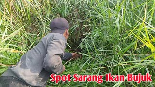 SPOT MENYERAMKAN NAJUR DAPAT IKAN BUJUK SEMUA [upl. by Hako]