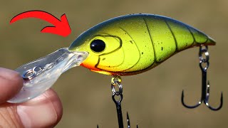 EVERY Fisherman Should Know THIS About CRANKBAITS [upl. by Eixel]