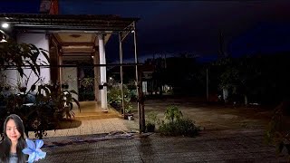 1h Cozy Countryside Night Rain Crickets amp Relaxing Music  Phuong Le Memo [upl. by Glenda]