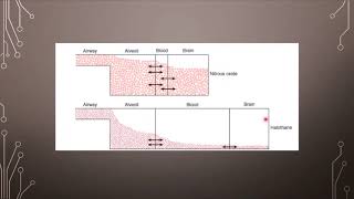 Pharmacology  Lecture 31  General Anesthetics [upl. by Quintus740]