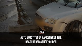 AUTO BOTST TEGEN VARKENSRUGGEN BESTUURDER AANGEHOUDEN [upl. by Nyl231]