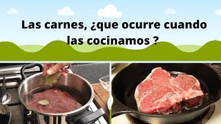 ¿Cuáles son los métodos de cocción de las carnes y que ocurre cuando las cocinamos [upl. by Tymes216]