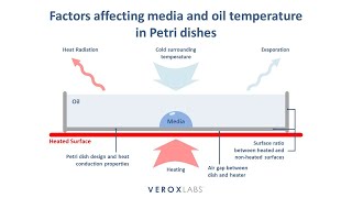 Factors affecting media and oil temperature in Petri dishes [upl. by Damha408]