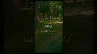 Talawat quran Majeed with Urdu translation [upl. by Meela]