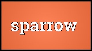 Sparrow Meaning [upl. by Fidel]