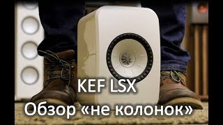 KEF LSX  Обзор [upl. by Chap602]