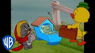 Tom y Jerry en Latino  Los personajes más bonitos de Tom y Jerry  WBKidsLatino [upl. by Atirma]