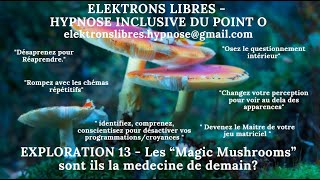 EXPLO 13 LA PSILOBYCINE substance psychédélique des Magic Mushrooms estelle une médecine de demain [upl. by Jarek]