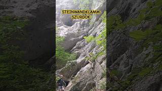 Beautiful Austria  Steinwandklamm szurdok [upl. by Aneehta]