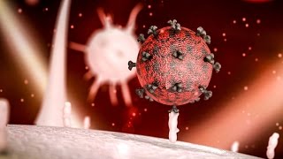 A potential cure for HIV [upl. by Felic637]