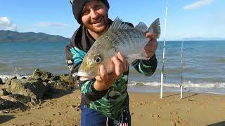 Townsville Fishing off the beach at Pallarenda [upl. by Veradia]