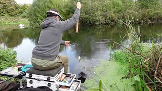 Waggler Fishing for River Roach [upl. by Ecineg]