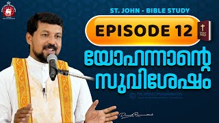 യോഹന്നാന്റെ സുവിശേഷം Episode 12  Fr Daniel Poovannathil [upl. by Lyred]