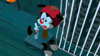 Animaniacs Wakkos Wens  Kleine SterWishing Star Dutch [upl. by Thgirw]