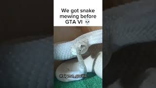 Snake Mewing 🤫🧏  Meme 🦍 [upl. by Batory200]