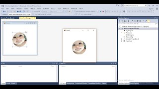 How to make Circular PictureBox in VBNET [upl. by Beffrey]