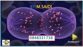 MEIOSIS MADE SIMPLE GRADE 12 LIFE SCIENCES INTRODUCTION AND CROSING OVER BY MSAIDI [upl. by Marlie]