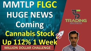 MMTLP Huge News Coming George talks FINRA U3 halt amp the presentation FLGC Cannabis stock 112 up [upl. by Jard]