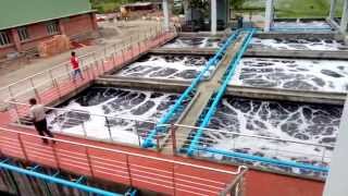 Tarasima Effluent Treatment Plant ETP Plan Video [upl. by Nunciata]