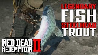 Red Dead Redemption 2  Legendary Fish ตัวที่ 3 Legendary Steelhaed Trout [upl. by Acinna]