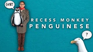 Recess Monkey – Penguinese Video [upl. by Waverly]