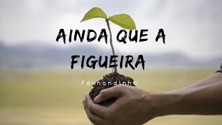 Ainda que a figueira Fernandinho [upl. by Alyam]