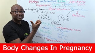 Physiological Changes In Pregnancy [upl. by Lorianne]