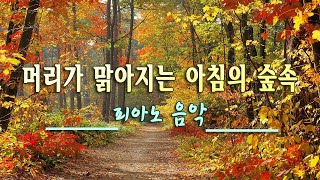 기분좋은 하루를 위한음악 🐛하루10분 만병을 치료 해주는 힐링 명상 기치료 음악 및 영상  아침명상음악  아침음악  힐링음악  명상음악 [upl. by Clotilde]