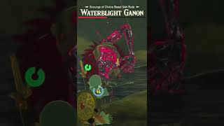 WATERBLIGHT GANON BOSS FIGHT zelda botw nintendo shorts [upl. by Quinta]