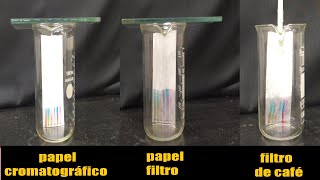 Cromatografia de papel  canetas hidrocor e aminoácidos [upl. by Fagaly]