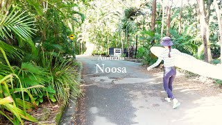 Australia Vlog  Noosa surf trip [upl. by Nylevol]