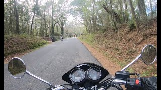 Januray Motorcycle Ride and Florida History [upl. by Ellak343]