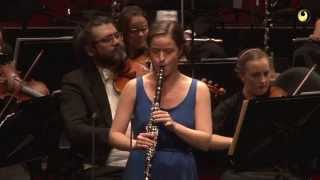 Wolfgang Amadeus Mozart Clarinet Concerto in A major K622 [upl. by Mauldon]