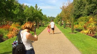 LONDON WALK  Regents Park on a Summer’s Afternoon  England [upl. by Mehala]