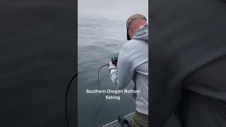 Ocean Fishing for Rockfish and Lingcod f fyp foryoupage foryou oregon ocean food youtube [upl. by Nuli]