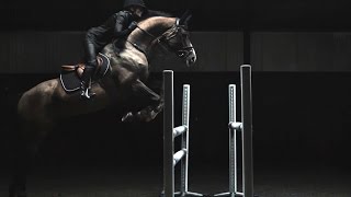 HampM Life  Sports Studio Horse Jumping with Malin Baryard [upl. by Wain]