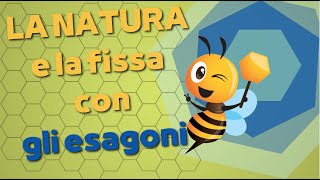 La fissa della Natura per gli esagoni [upl. by Leesa]