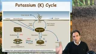 Soil Potassium Ag Nutrient Management [upl. by Prevot516]