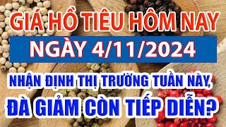 Giá tiêu hôm nay 411 nhận định thị trường tuần này đà giảm còn tiếp diễn [upl. by Arayc]