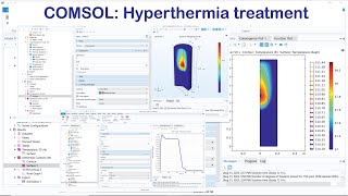 COMSOL Tumor Treatment Hyperthermia [upl. by Zoba]