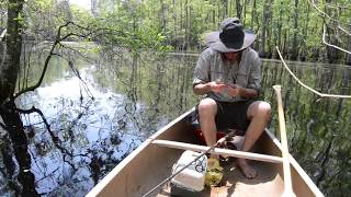 Swamp Fishing in the Roanoke River  Jamesville NC [upl. by Enihsnus440]