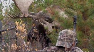 World Record Moose Shot [upl. by Nester]