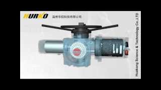 Linear Multiturn Electric Valve Actuatorflv [upl. by Lobel]