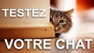 TESTEZ VOTRE CHAT [upl. by Anahsor]