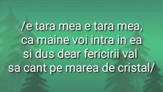 NEGATIV amp VERSURI E ȚARA MEA E ȚARA MEA2017 [upl. by Nirda395]