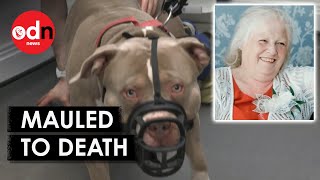 Grandmother Killed By XL Bully Dogs While Visiting Grandson [upl. by Ailalue736]